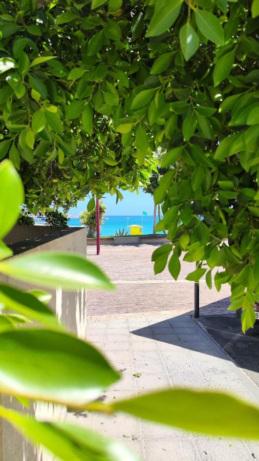 פוארטו דל רוסריו Fabelo Apartment, Puerto Del Rosario מראה חיצוני תמונה